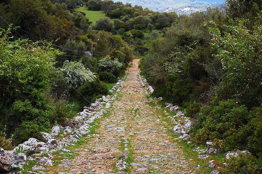 La calzada empedrada entre Benaocaz y Ubrique, con muretes de piedra a los lados