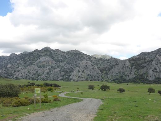 Camino de grava por los Llanos del Republicano, con la sierra de roca al fondo